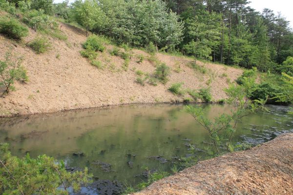 Pond Erosion Repair in Des Moines