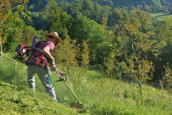 Cost of Slope Trimming in Des Moines